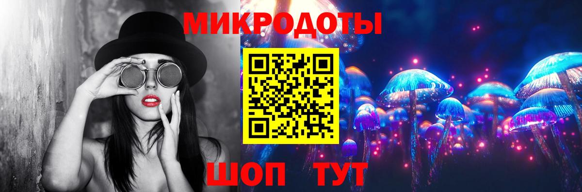 Псилоцибиновые грибы мицелий Александров